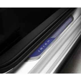 Seuils de porte inox (pixels)